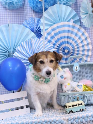 20231128こはるちゃん